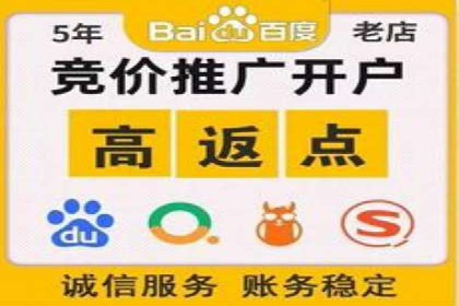 SEM推广代运营公司成功案例解析